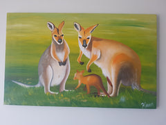 Aussie Kangaroo AK3