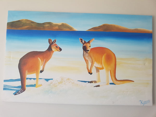 Aussie Kangaroo AK2